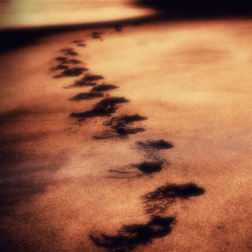 Keldian : The Hidden History of Keldian Keldian : The Hidden History of Keldian